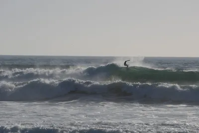 DSC_7058 (Large).JPG